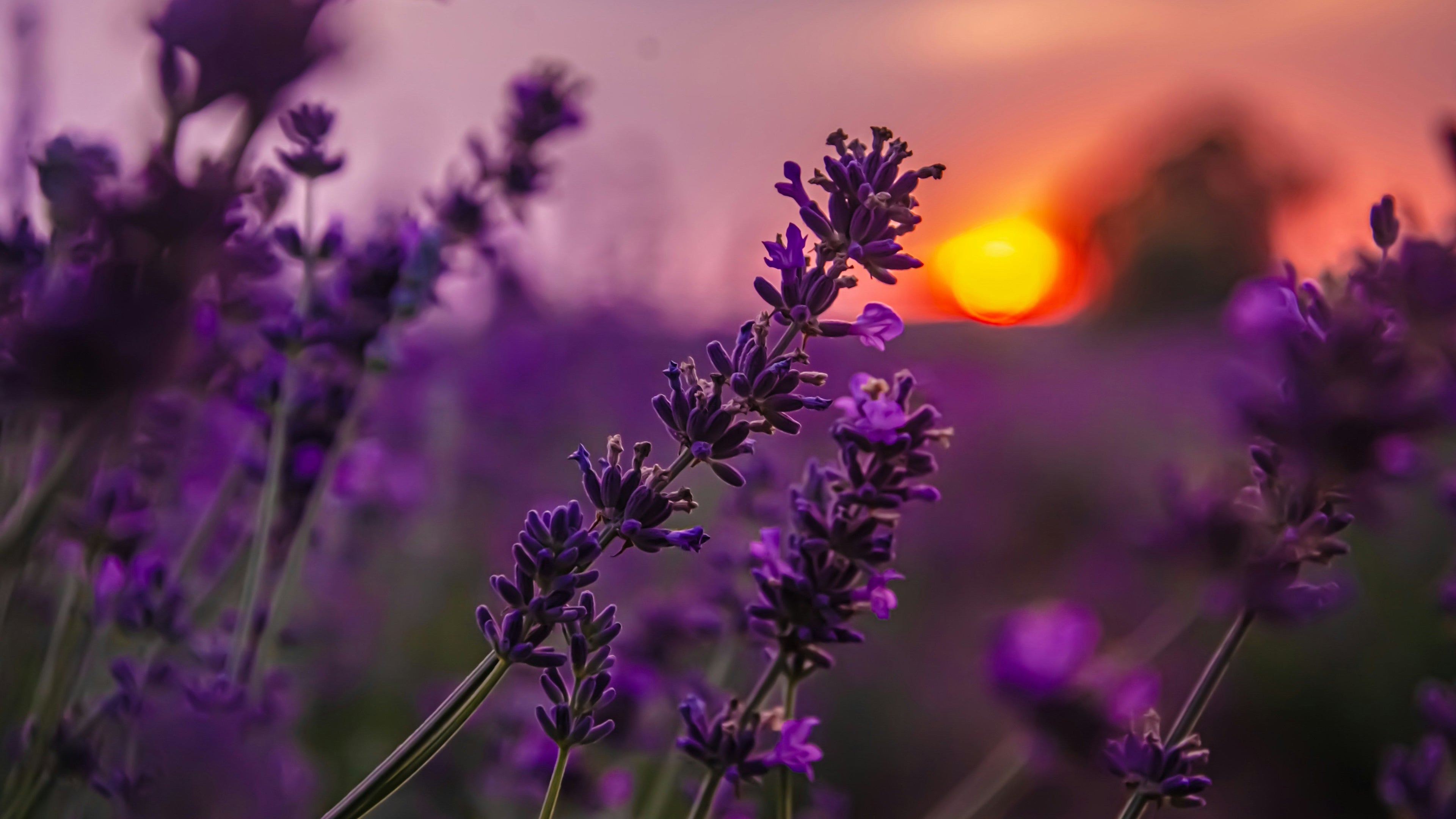 Гипноз для сна: быстрый вход в ночной режим без таблеток