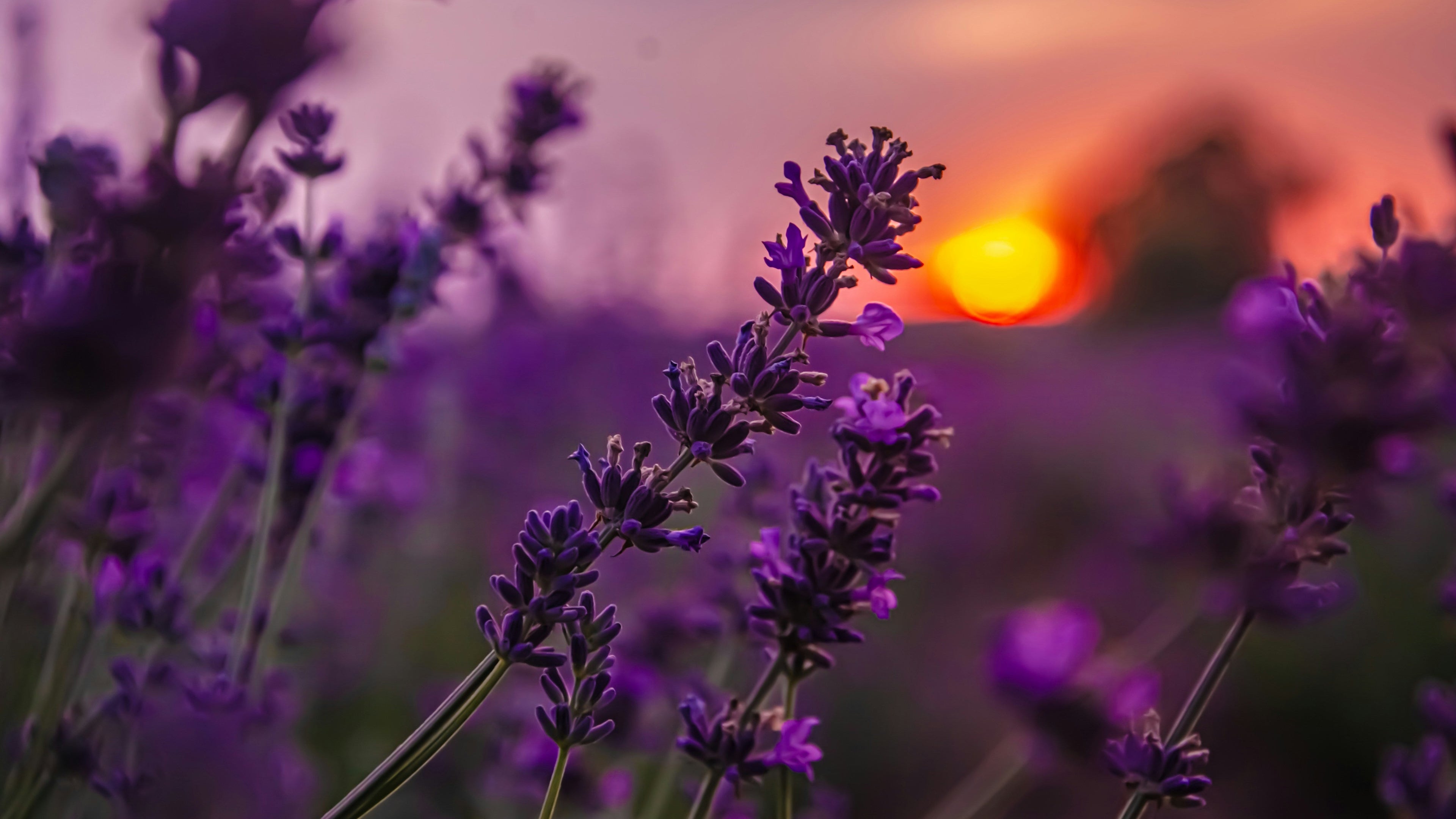 гипноз для сна и от бессонницы